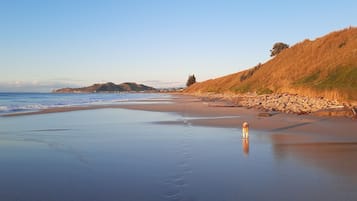 Una playa cerca, toallas de playa