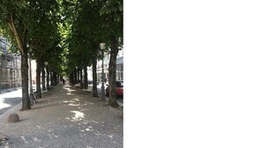 Eine von Bäumen gesäumte Straße mit einem Schotterweg, Fahrrädern und einem roten Auto, das am Straßenrand geparkt ist.