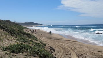 在海灘附近、間海灘酒吧