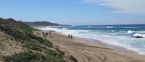 Una spiaggia nelle vicinanze, un bar sulla spiaggia