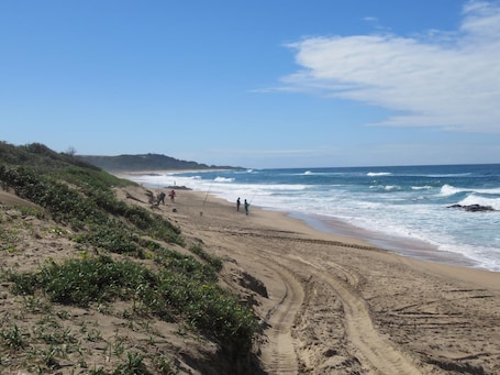 Playa en los alrededores y bar en la playa