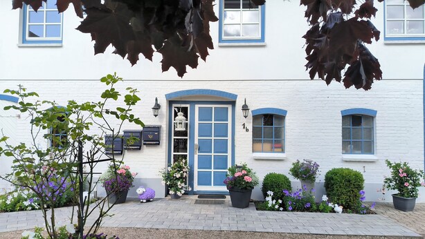 Un bâtiment blanc orné de bordures bleues et doté d’une porte bleue, entouré de plantes et de fleurs en pot.