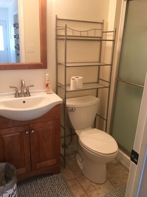 Douche, sèche-cheveux, serviettes fournies, papier toilette