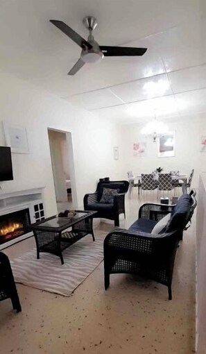 TV, fireplace, books