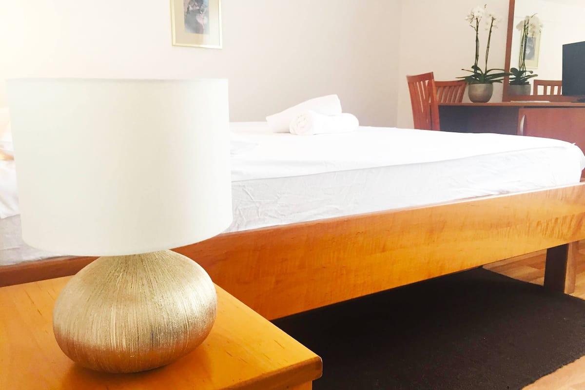 A hotel room with a bed, a wooden nightstand with a lamp, a black rug, a desk with a chair, and a potted plant.