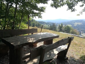 Wandelen