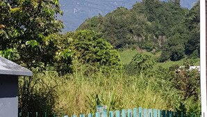 Vista de uma paisagem montanhosa com uma cerca verde ao primeiro plano.