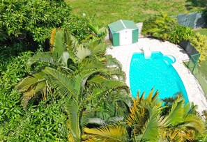 Piscina cercada por vegetação exuberante, um pequeno galpão e um caminho de pedra.