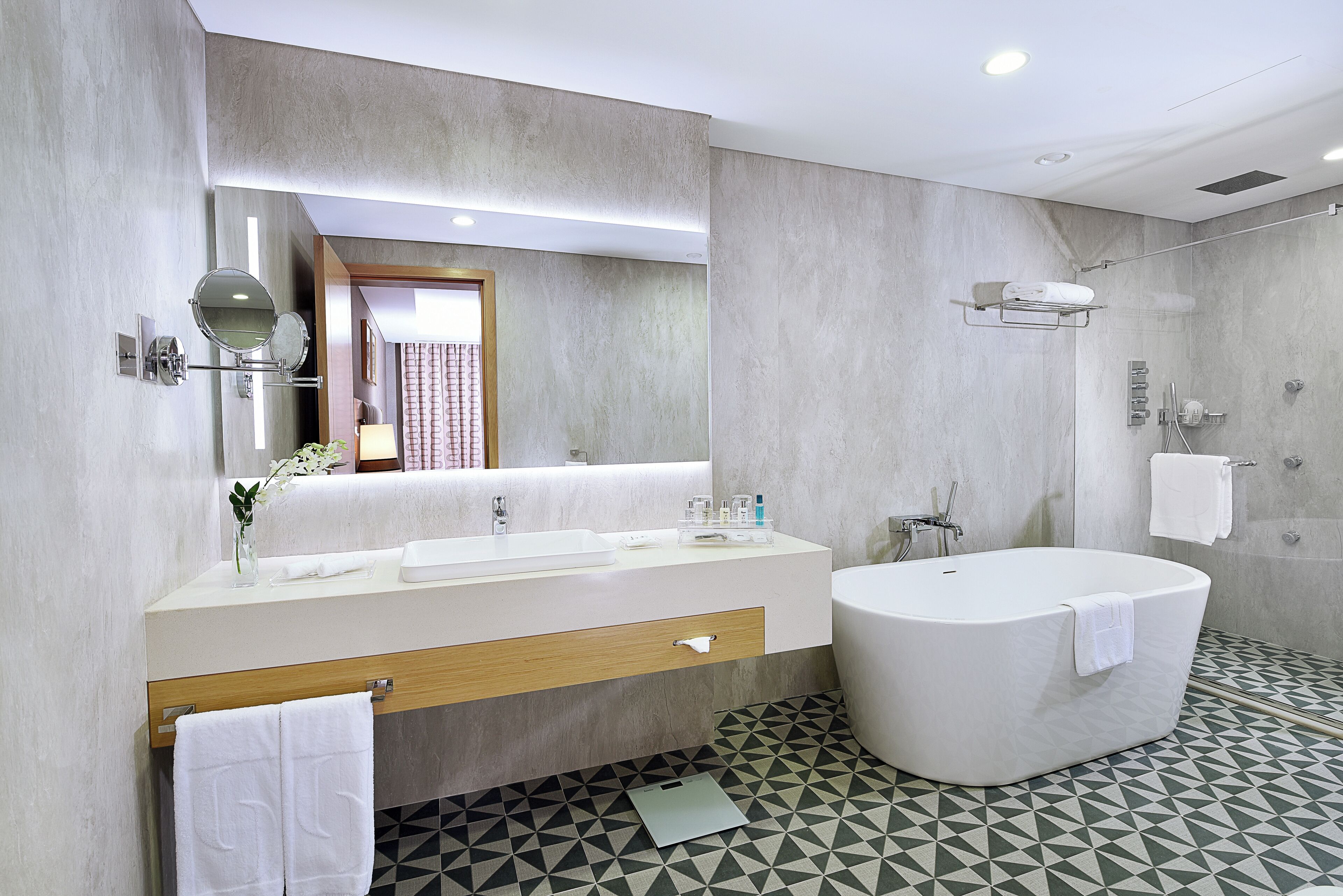 separate bathtub and shower, rainfall showerhead