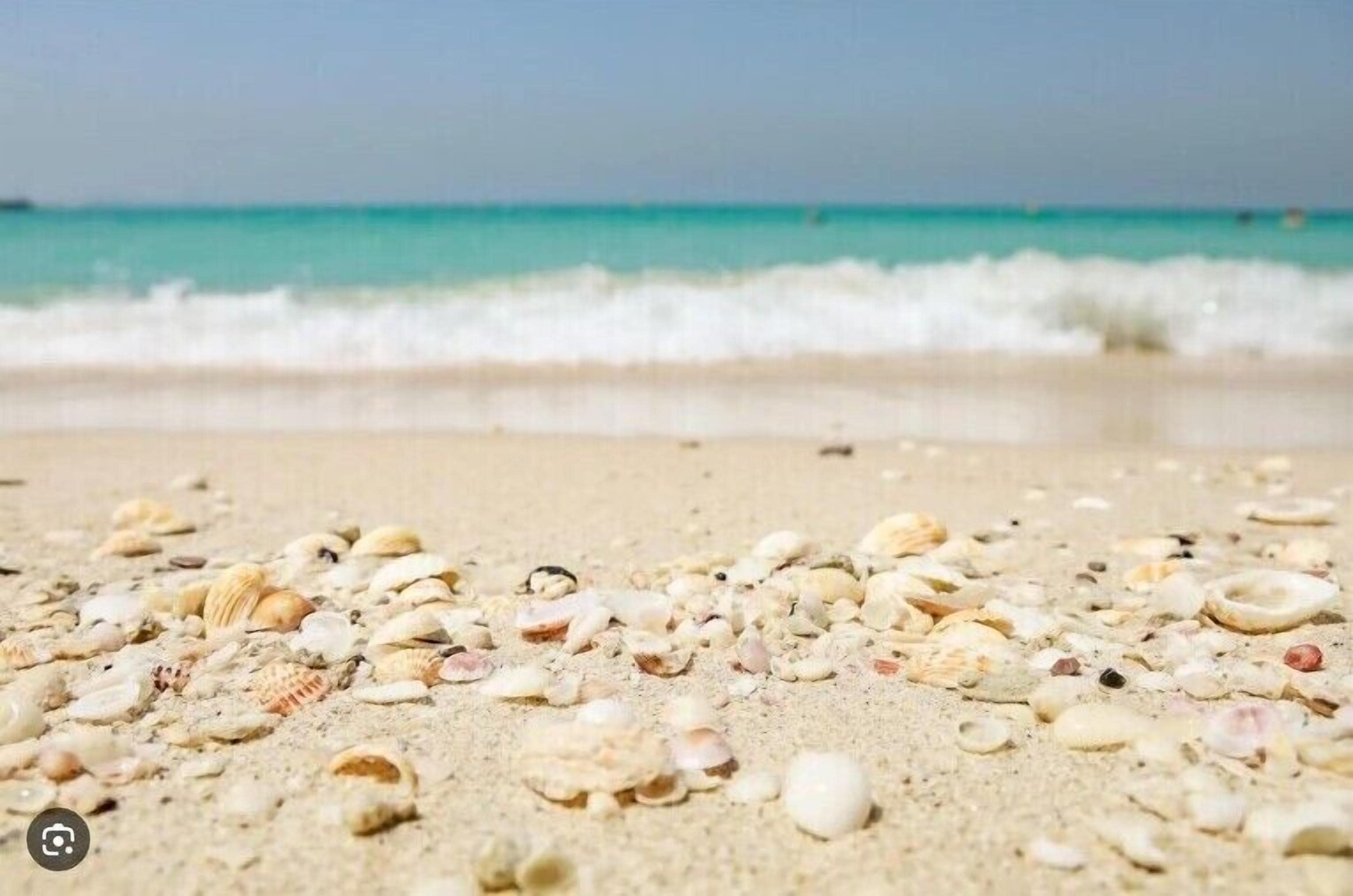 Foto - Grand Cosmopolitan Hotel