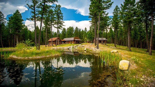 Uma cabana perto de um lago, rodeada por árvores altas e um céu limpo.