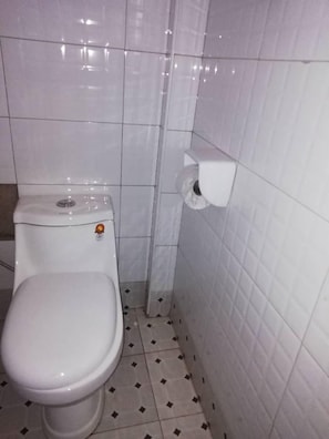 Chuveiro, toalhas de banho, sabonete, shampoo