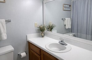 Combined shower/tub, hair dryer, towels