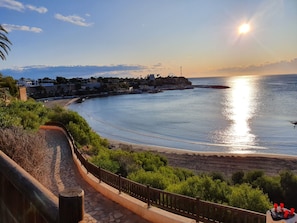 بالقرب من الشاطئ