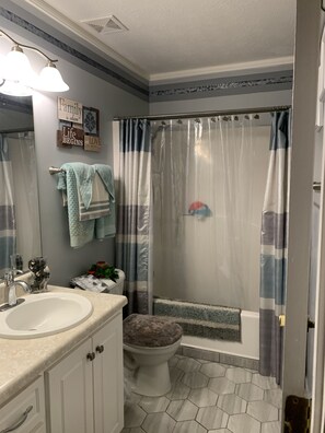 Hair dryer, towels, shampoo, toilet paper