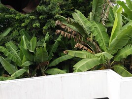 Vistas desde el alojamiento