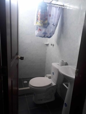 Ducha, cabezal de ducha tipo lluvia, secador de pelo, toallas