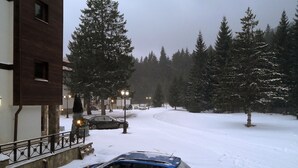 A snow-covered street with parked cars and trees lining the road. - Apartment for rent in the Rhodope mountain suitable for all year long (Smolyan)
