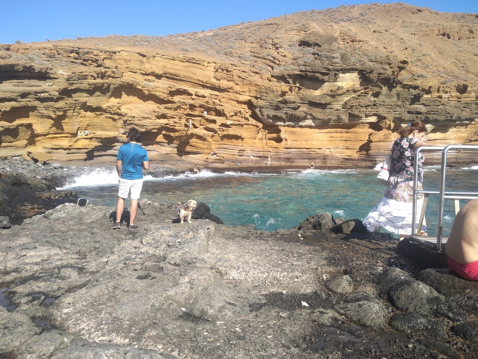 Una playa rocosa con agua cristalina, una persona con una camiseta azul y un perro.