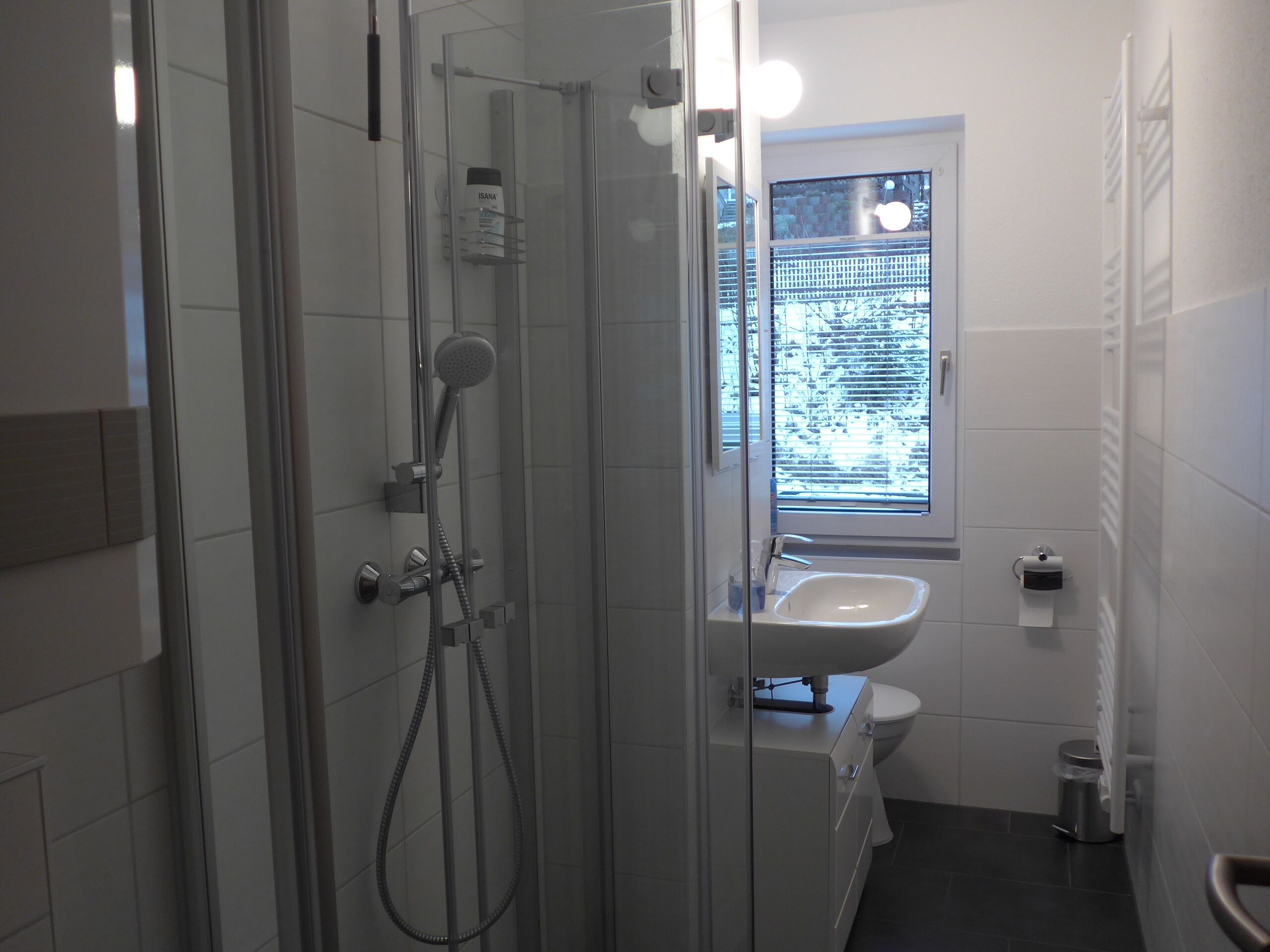 Dusche, Haartrockner, Handtücher, Seife