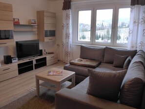 TV, toys, books, music library