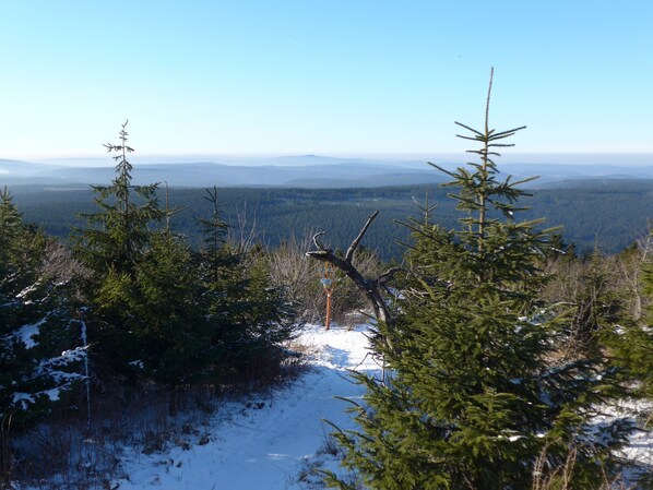 A snowy mountain landscape with dense forest and a clear sky. - Cable car, lift, slopes, ski schools are within walking distance. Family friendly (Kurort Oberwiesenthal)