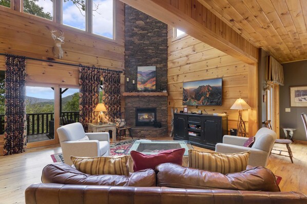 TV, fireplace, video games, DVD player