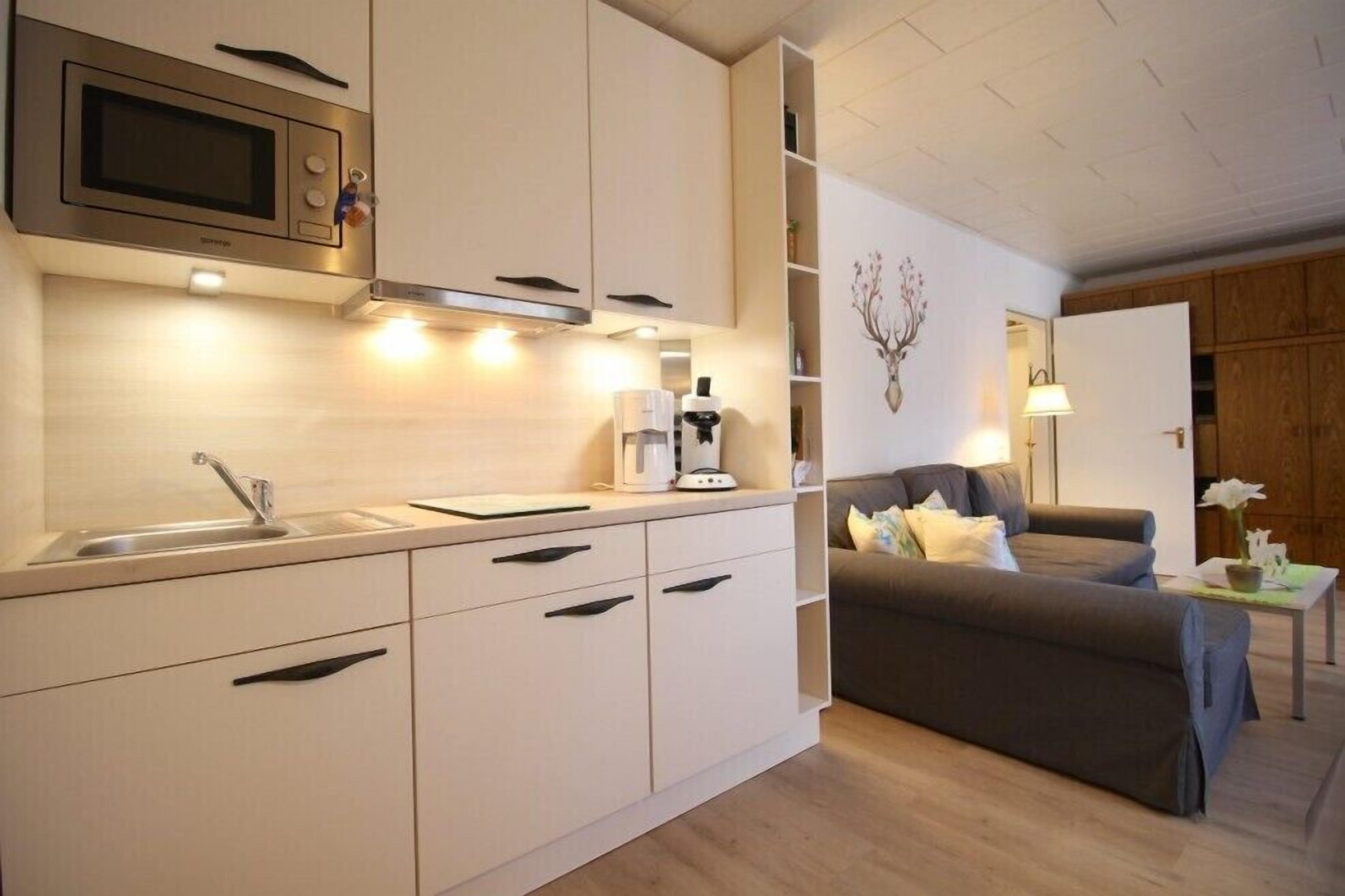 Appartement, balkon (Esterberg) | Privékeuken | Een koelkast, een microgolfoven, een kookplaat