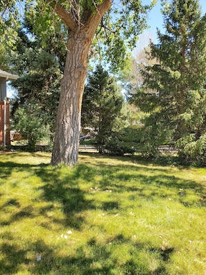 Boendeområde
