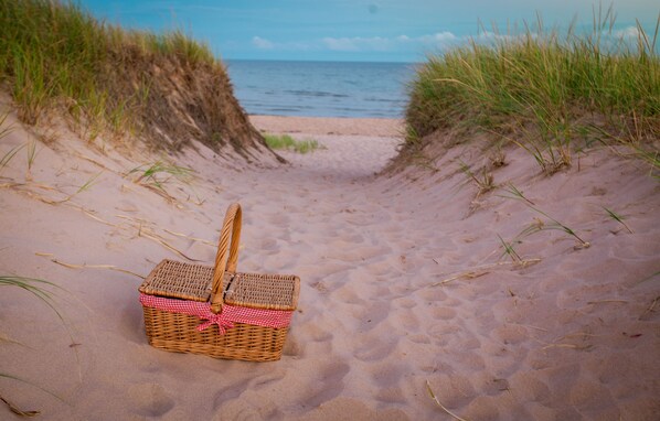 Camastros y toallas de playa 