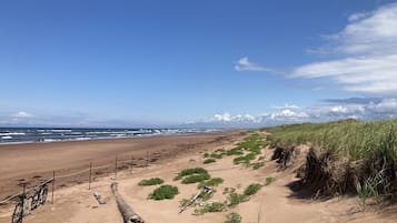 Sun loungers, beach towels