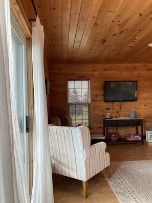 Smart TV, chimenea, libros y biblioteca musical 