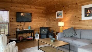 Smart TV, fireplace, books, music library