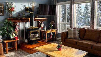 Älytelevisio, takka