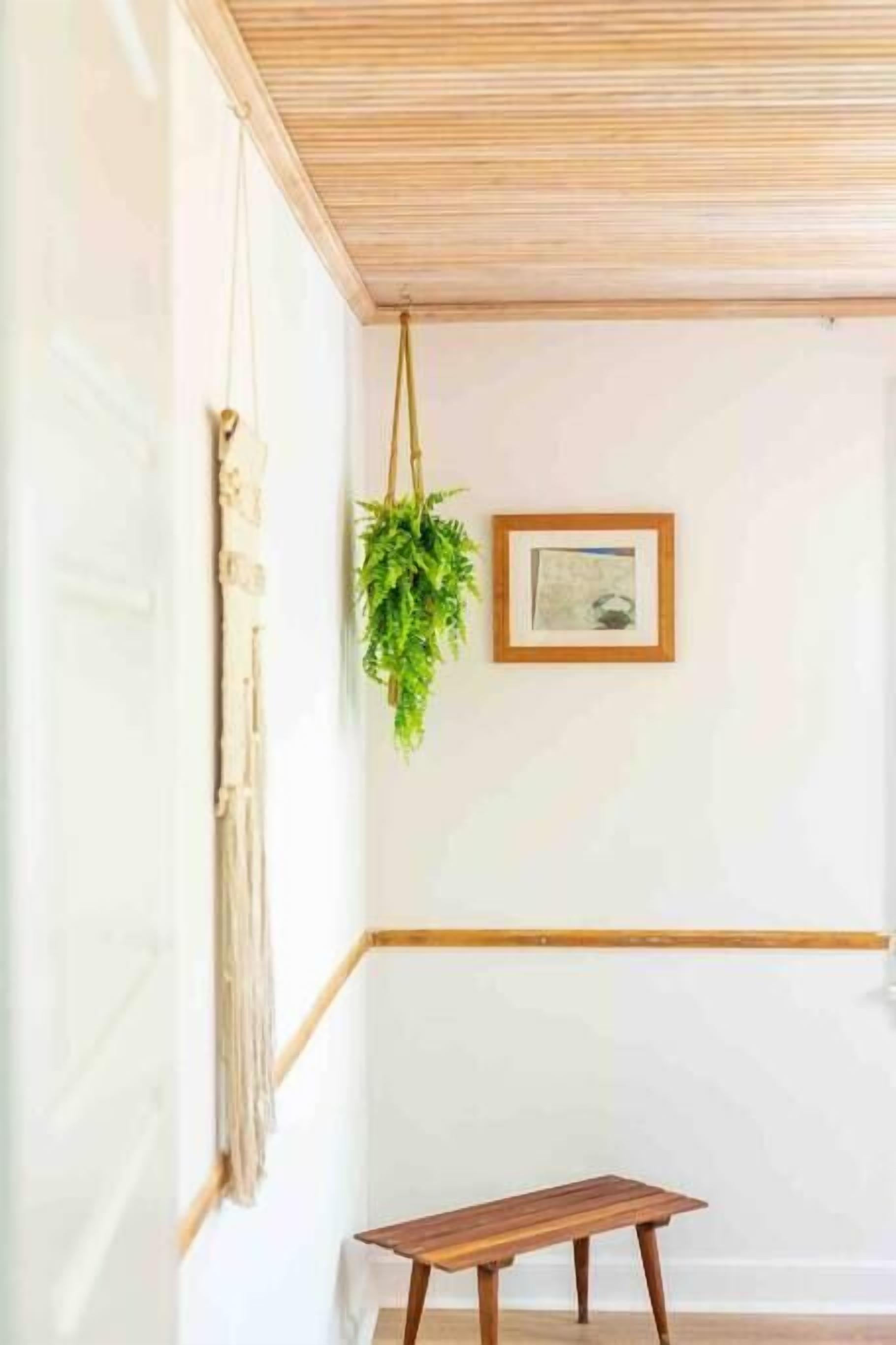 A corner room with a wooden bench, a hanging plant, and a framed picture on the wall.