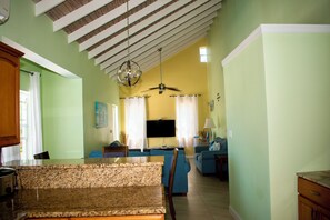 Smart TV, fireplace, books