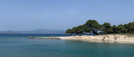 Chaises longues, serviettes de plage
