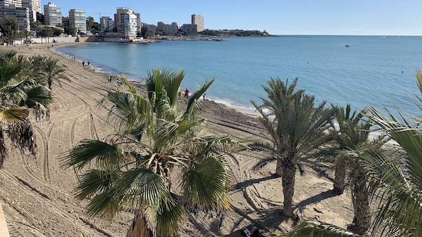 Una platja amb palmeres, sorra daurada i un paisatge urbà al fons.