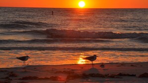 A sunset over the ocean with waves and two birds on the shore. - Sandy Shores Villa near Sieta Key and other beaches (Sarasota)