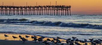 Walk to beach / Cozy 3-Bedroom /Wrap-around deck