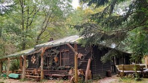 Eine rustikale Holzhütte mit einer Holzterrasse und einem grünen Tisch.