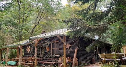 Lomahuoneisto "Eulentreff" Wilde Auwaldhausissa, Zittau-vuoristossa