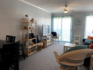 TV, fireplace, DVD player, books