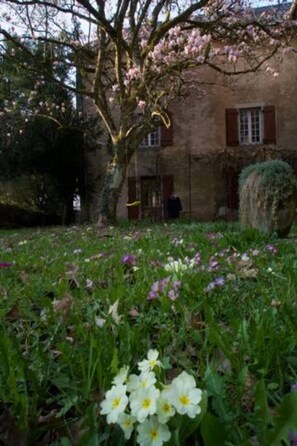 Un edificio de piedra con un jardín delantero, que presenta un árbol de flores rosadas y diversas flores.