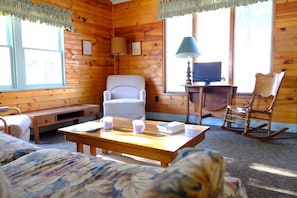 TV, fireplace, Netflix, DVD player