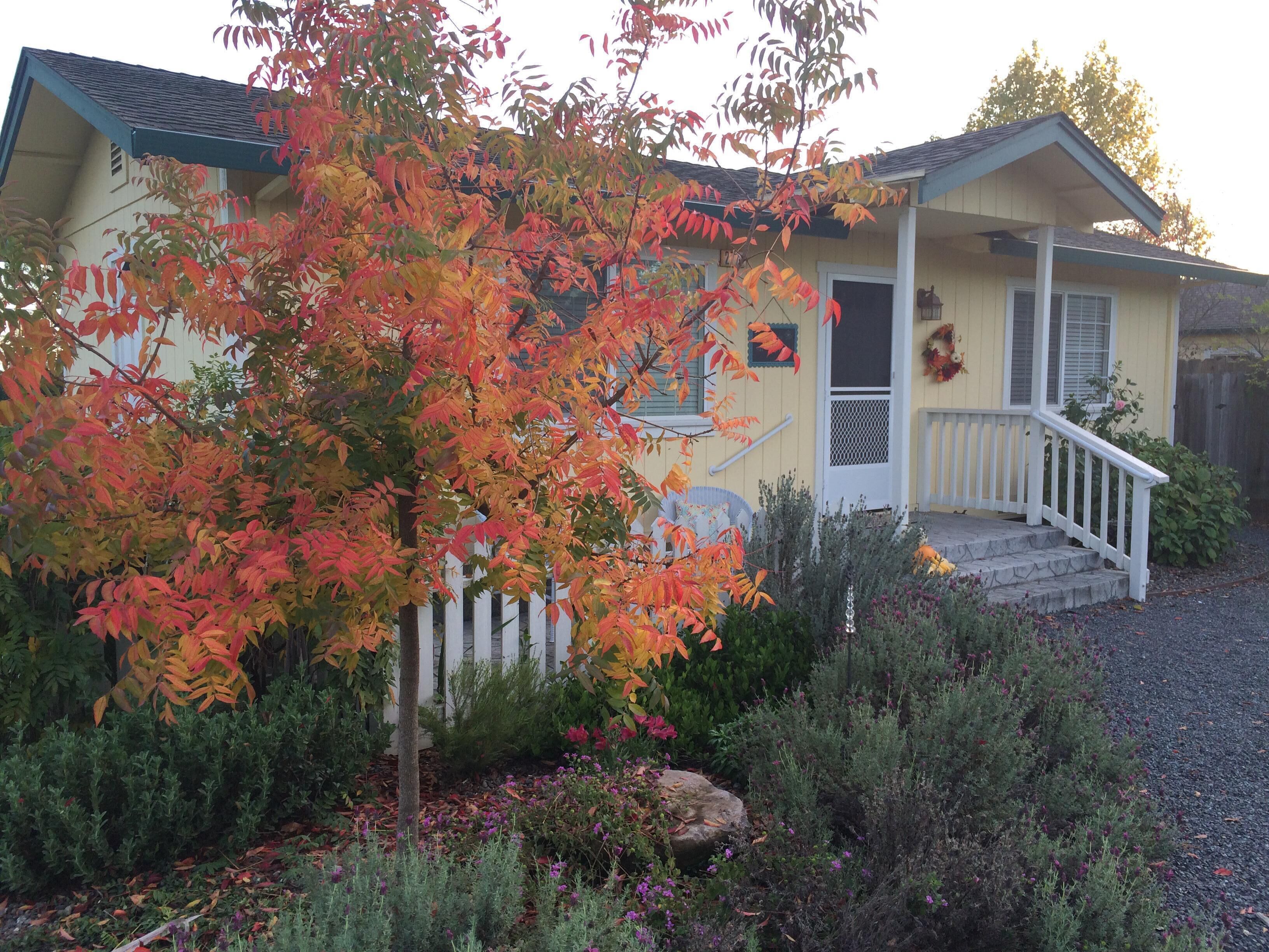 Woolsey Road Cottage -Cozy, Comfy and Fresh Eggs!