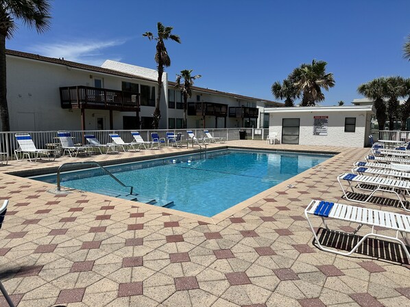 A swimming pool with lounge chairs and palm trees.
