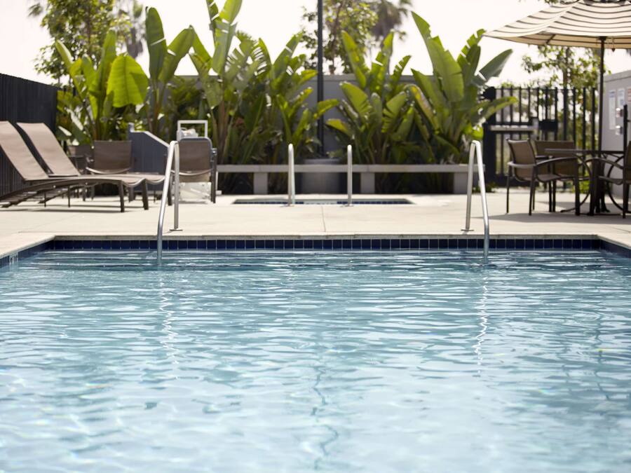 Piscina con sillas de descanso y sombrillas, rodeada de vegetación.