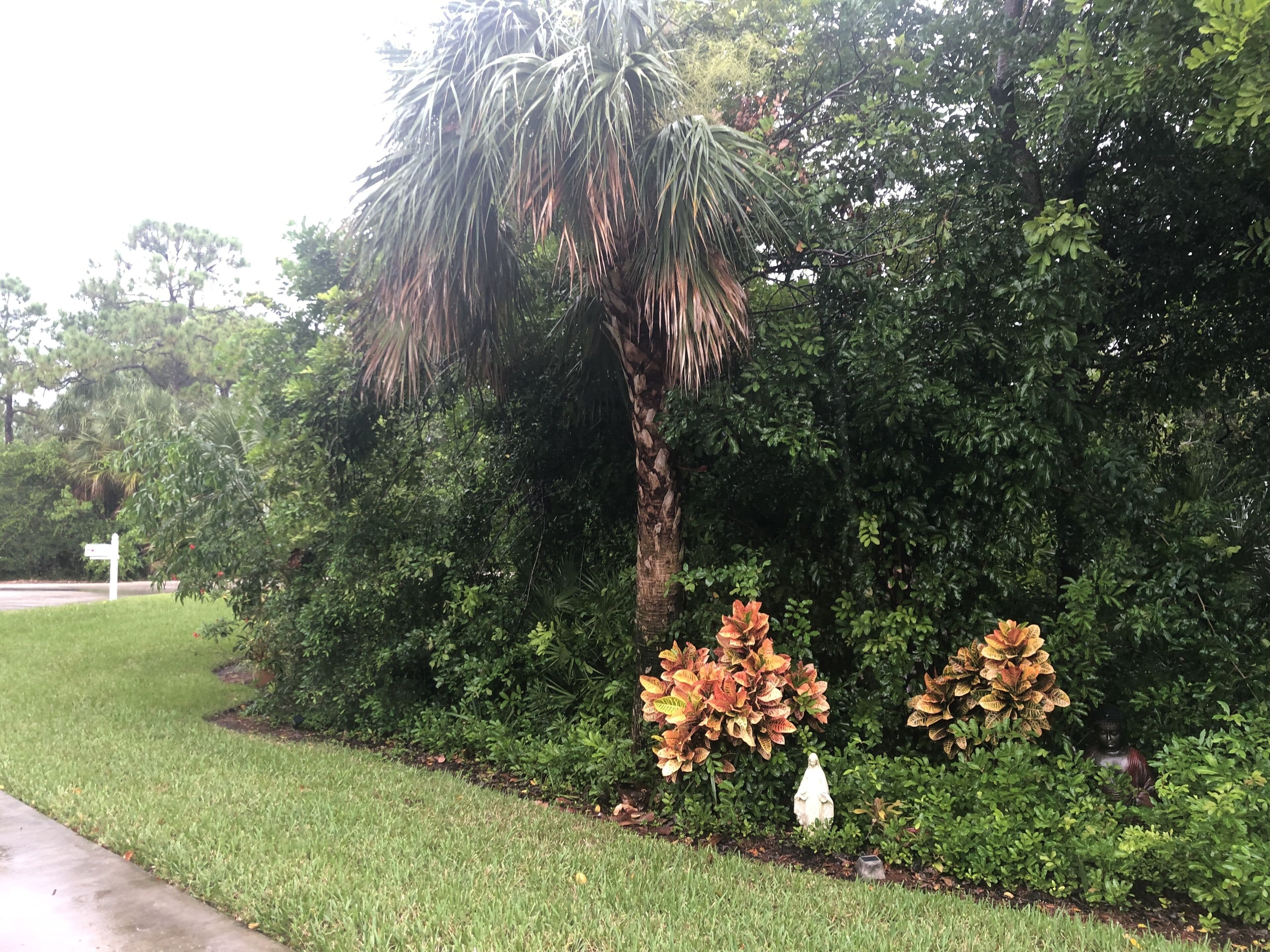 NAPLES OASIS beautiful large private home
