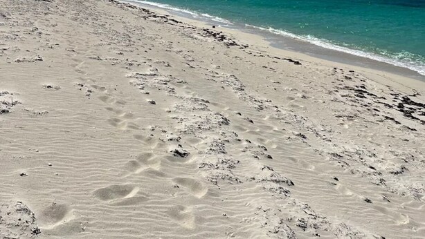 A beach with clear skies and turquoise water. - Sagusta Gardens NCA 1 (Whitby)